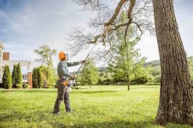 Mulching Services in East Oakdale, CA